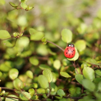 100 kozarcev Ladybug Pravljice Figur Miniaturni Vrt Ornament Lutke Dekoracijo Domov Office Dekoracijo Padec Ladijskega prometa