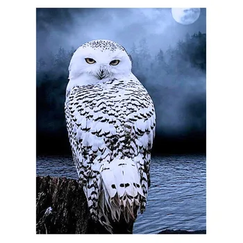 5D Diamond Slikarstvo Owl Full Vaja Kvadratnih Diamantno Art Vezenje Živali Navzkrižno Šiv Doma Dekoracijo