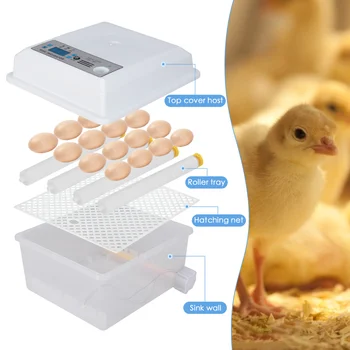 Jajce Inkubator Popolnoma Avtomatsko 16 Jajca Digital Mini Brooder Majhen Piščanec Ptičje Jajce Inkubator Samodejno Kmetiji Inkubacije Orodje EU