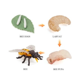 Plastični figuric Simulacije Insektov Rast Zanke Model Čebel Življenjskega Cikla Figur Segmenti Izobraževalne Igrače za Otroke