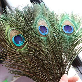 10PCS Naravnih Big Eye Pav pero 25-33 CM Dekoracijo perje za DIY Obrti Nakit Stranka Domov perja Dekorativni Dodatek