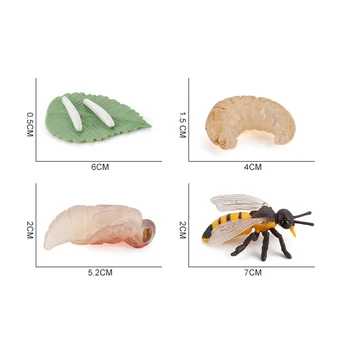Plastični figuric Simulacije Insektov Rast Zanke Model Čebel Življenjskega Cikla Figur Segmenti Izobraževalne Igrače za Otroke