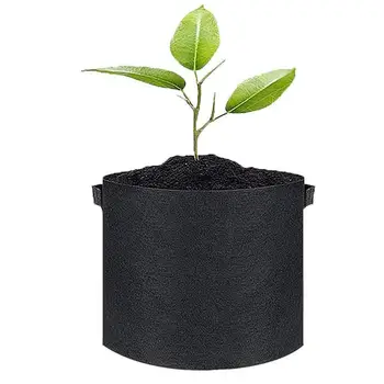 Rastlina Raste Vrečke Počutil Rastejo Vrečko Vrtne Tkanine, ki Rastejo na Vrtu Lonci Planter Sajenje Zelenjave Cvet Raste Pot B6L5