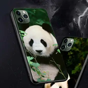 Za iPhone 12 11 Max Pro mini Ohišje Ljubek Mali Panda Bear za iPhone Max XR X 8 7 6 Plus 5S SE Svetlo Črno Primeru Telefon